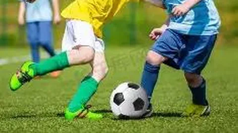 必赢·BWIN唯一官方网址 产品 111544 bw8